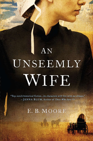 An Unseemly Wife Paperback by E.B. Moore