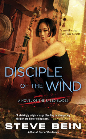 Disciple of the Wind Paperback by Steve Bein
