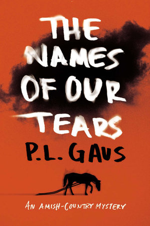 The Names of Our Tears Paperback by P. L. Gaus