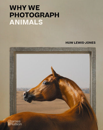 Why We Photograph Animals Hardcover by Huw Lewis-Jones