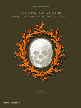 A Cabinet of Rarities Hardcover by Erik Desmazieres