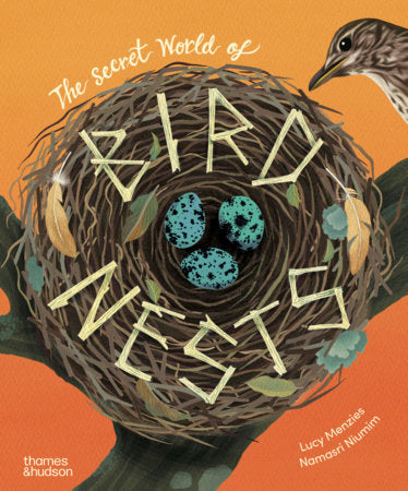 The Secret World of Bird Nests Hardcover by Lucy Menzies