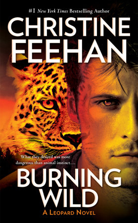 Burning Wild Paperback by Christine Feehan