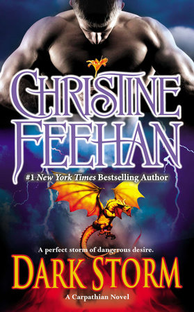 Dark Storm Paperback by Christine Feehan