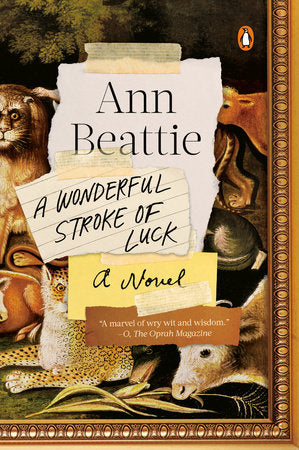 A Wonderful Stroke of Luck Paperback by Ann Beattie