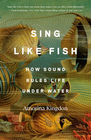 Sing Like Fish Paperback by Amorina Kingdon