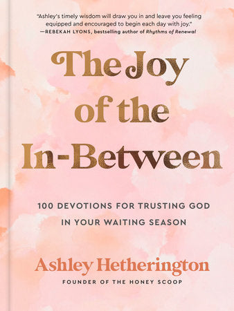 The Joy of the In-Between Hardcover by Ashley Hetherington