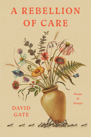 A Rebellion of Care HC by David Gate