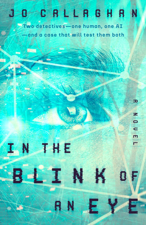 In the Blink of an Eye Paperback by Jo Callaghan