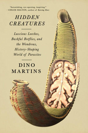 Hidden Creatures Hardcover by Dino Martins