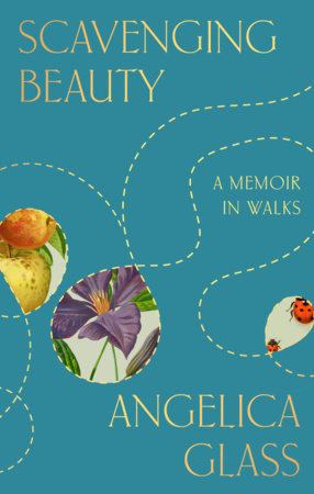 Scavenging Beauty Hardcover by Angelica Glass