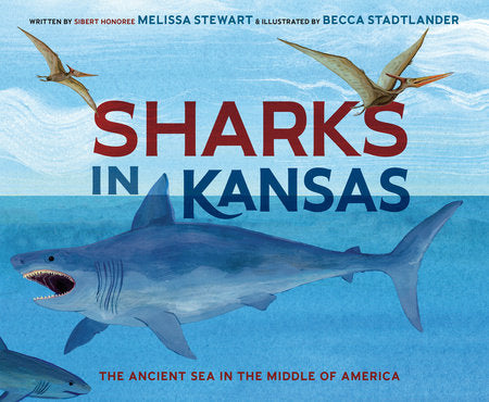 Sharks in Kansas Hardcover by Melissa Stewart; illustrated by Becca Stadtlander