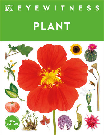 Eyewitness Plant Paperback by DK