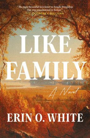 Like Family Paperback by Erin O. White