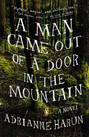 A Man Came Out of a Door in the Mountain Paperback by Adrianne Harun