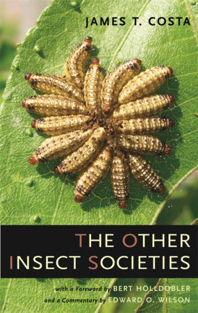 Other Insect Societies Hardcover by James T. Costa