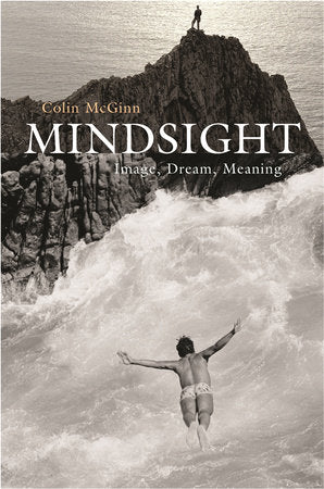 Mindsight Paperback by Colin McGinn