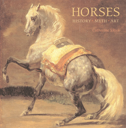 Horses Hardcover by Catherine Johns