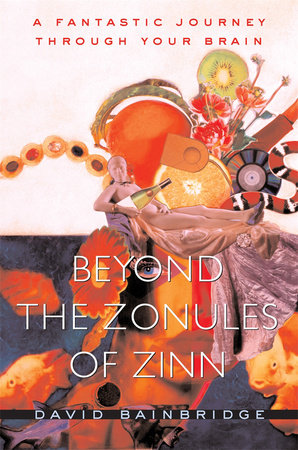 Beyond the Zonules of Zinn Paperback by David Bainbridge