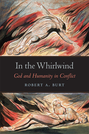 In the Whirlwind Hardcover by Robert A. Burt