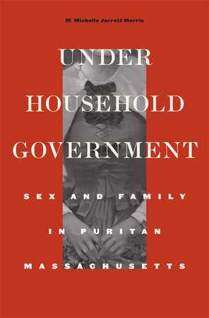 Under Household Government Hardcover by M. Michelle Jarrett Morris