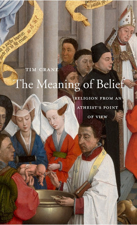Meaning of Belief Hardcover by Tim Crane