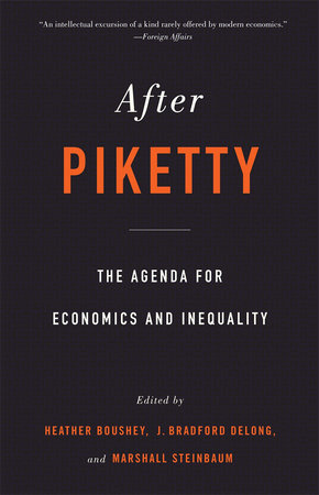 After Piketty Paperback by Heather Boushey