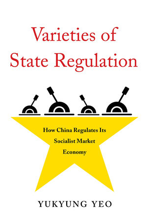 Varieties of State Regulation Paperback by Yukyung Yeo