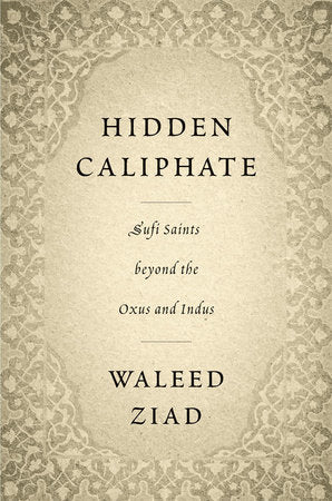 Hidden Caliphate Hardcover by Waleed Ziad
