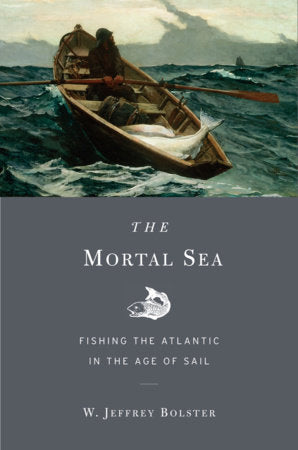 Mortal Sea Paperback by W. Jeffrey Bolster