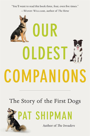 Our Oldest Companions Paperback by Pat Shipman