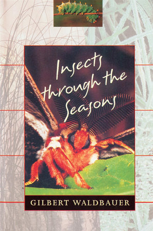 Insects through the Seasons Paperback by Gilbert Waldbauer