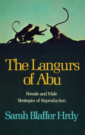 Langurs of Abu Paperback by Sarah Blaffer Hrdy