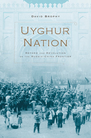 Uyghur Nation Hardcover by David Brophy
