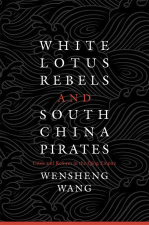 White Lotus Rebels and South China Pirates Hardcover by Wensheng Wang