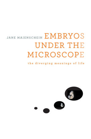 Embryos under the Microscope Hardcover by Jane Maienschein