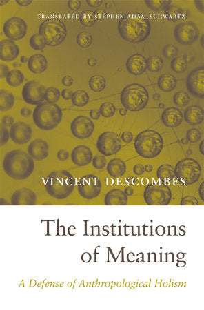 Institutions of Meaning Hardcover by Vincent Descombes