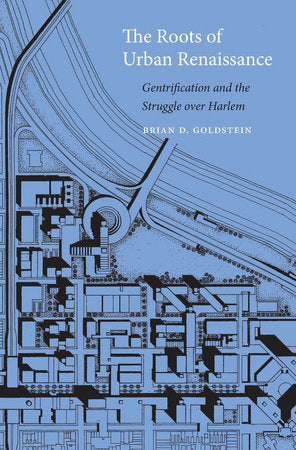 Roots of Urban Renaissance Hardcover by Brian D. Goldstein