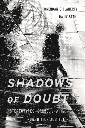 Shadows of Doubt Hardcover by Brendan O'Flaherty