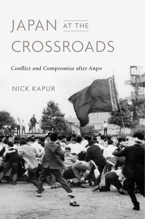 Japan at the Crossroads Hardcover by Nick Kapur