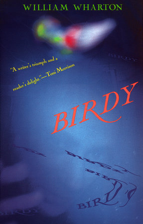 Birdy Paperback by William Wharton