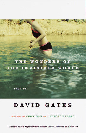 The Wonders of the Invisible World Paperback by David Gates