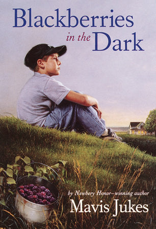 Blackberries in the Dark Paperback by Mavis Jukes