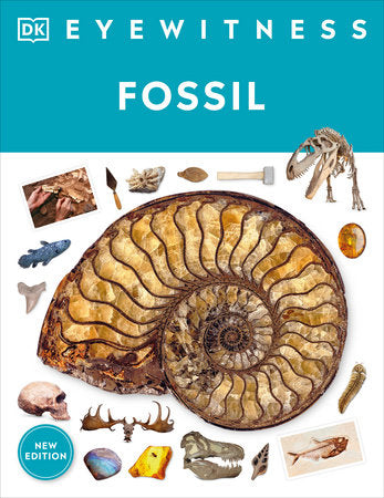 Eyewitness Fossil Paperback by Paul David Taylor