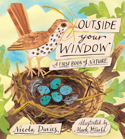 Outside Your Window Hardcover by Nicola Davies; Illustrated by Mark Hearld