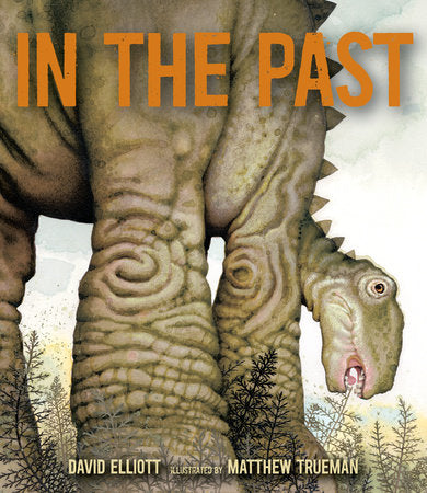In the Past Hardcover by David Elliott; Illustrated by Matthew Trueman