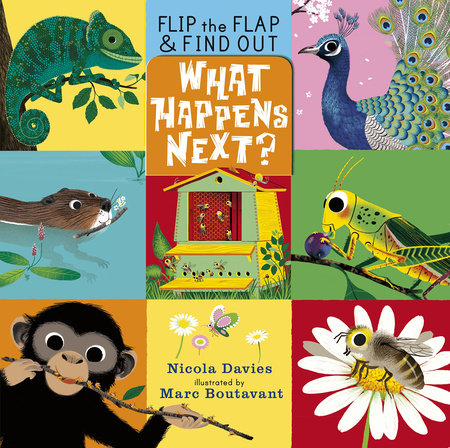 What Happens Next? Hardcover by Nicola Davies; Illustrated by Marc Boutavant