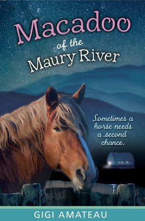 Macadoo: Horses of the Maury River Stables TR by Gigi Amateau