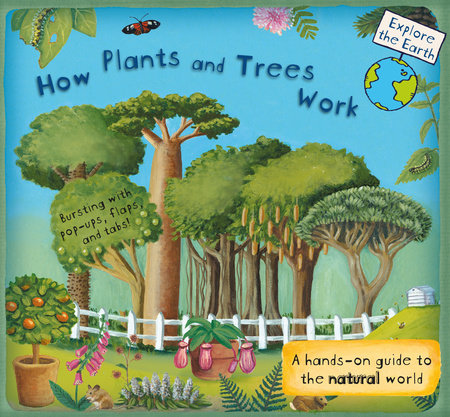 How Plants and Trees Work Hardcover by Christiane Dorion; Illustrated by Beverley Young
