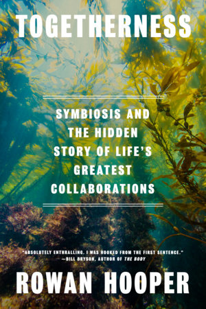 Togetherness Hardcover by Rowan Hooper